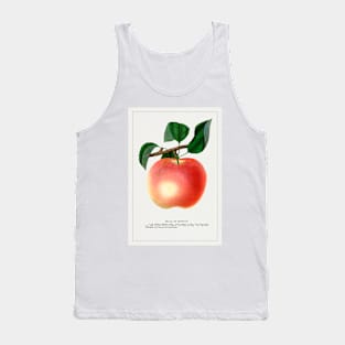 Belle De Boskoop Apple Lithograph (1900) Tank Top